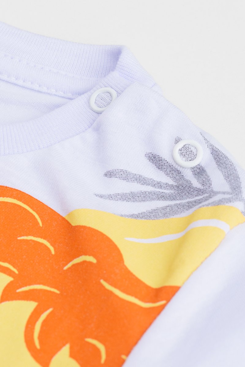 02 conjunto bebe menino leaozinho fakini