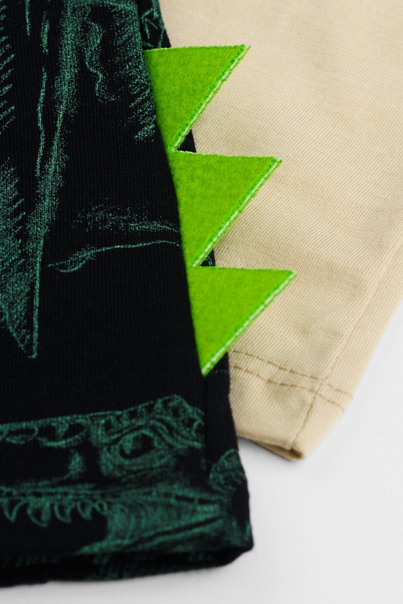 02 conjunto infantil menino dino fakini