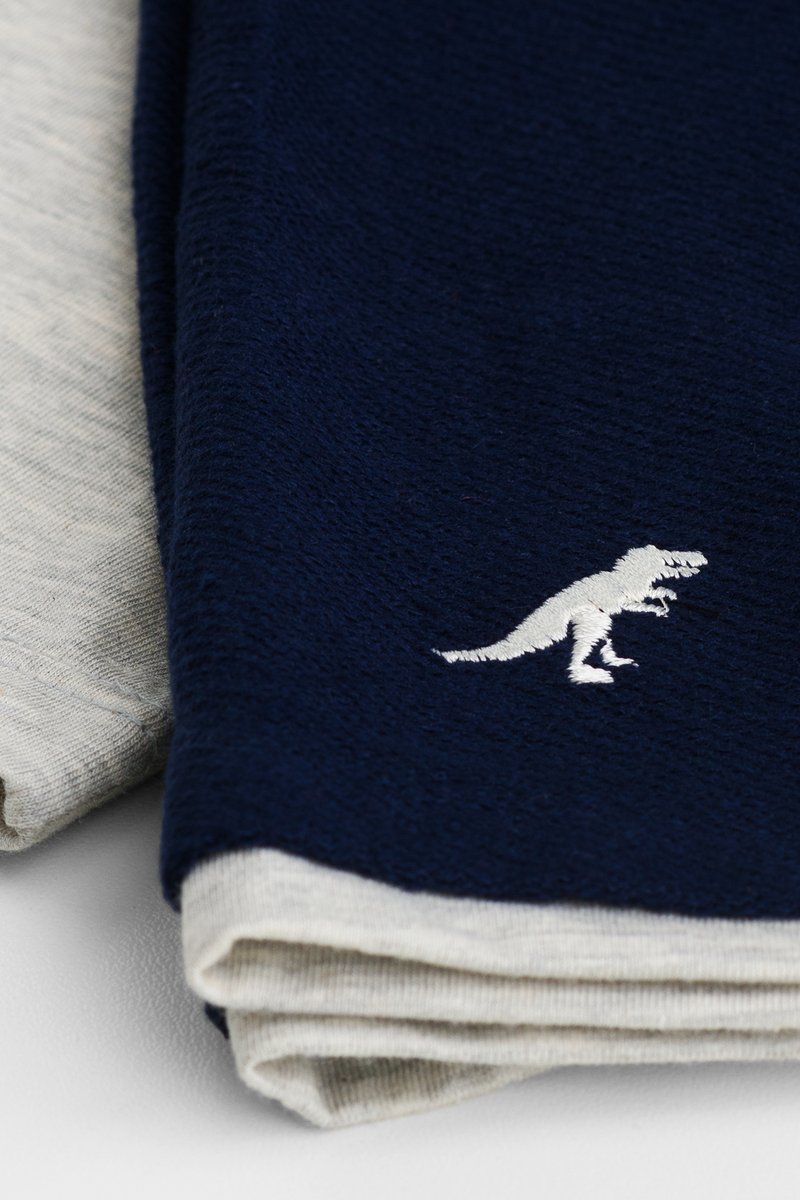 04 conjunto infantil menino triceratops reirex