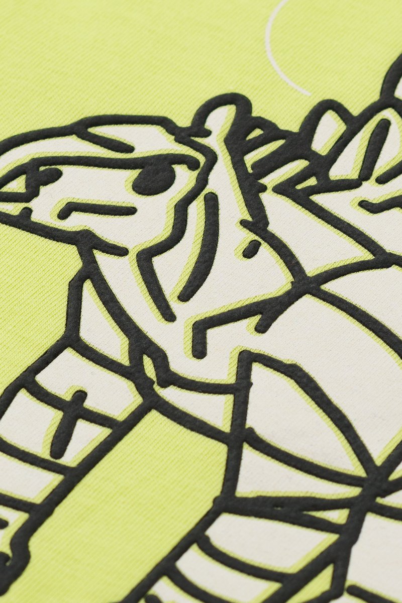 02 conjunto regata infantil menino stegosaurus fakini