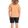06 conjunto infantil menino leao interativo fakini