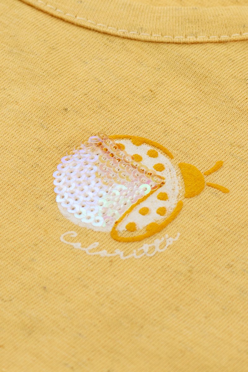 02 conjunto bebe menina joaninha coloritta