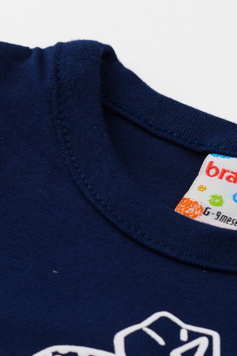 02 conjunto bebe menino dinos brandili