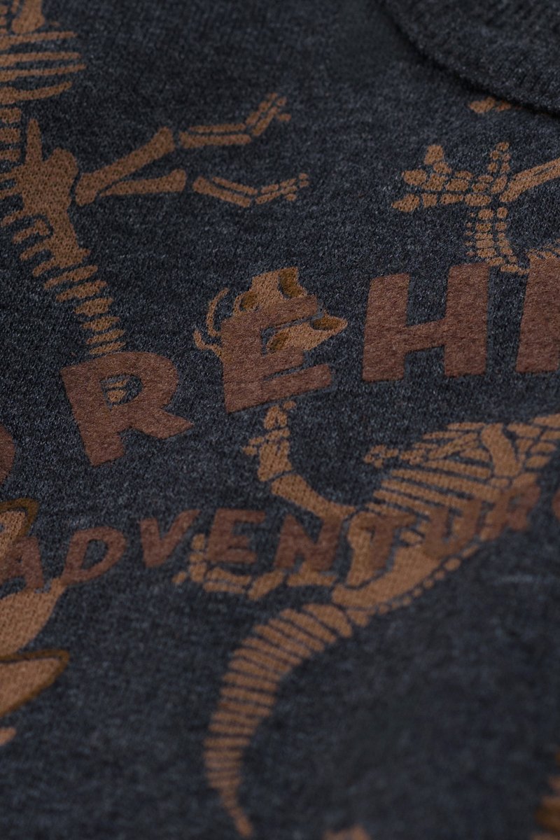 04 conjunto moletom colors infantil menino prehistoric elian